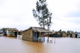 Bac Lieu invests in projects to cope with climate change