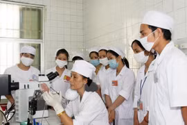 AEC could provide 14.5 percent more jobs for Vietnam by 2025: ILO