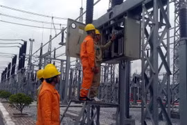 EVN to not adjust power price in 2016 