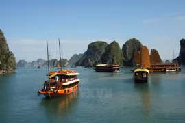 Less wooden ships to be seen in Ha Long Bay