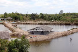 Ca Mau: 6,000 households face water shortage