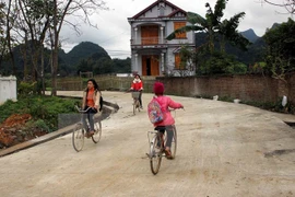 Provinces target more new-style rural communes 