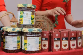 First star anise festival opens in Lang Son 