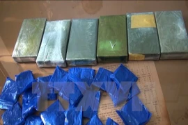Quang Tri: drug smuggling busted on Vietnam-Laos border 