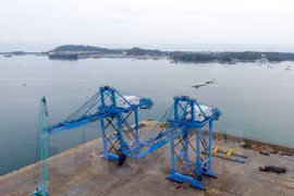 Giant cranes made in Vietnam shipped to central port