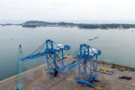 Giant cranes made in Vietnam shipped to central port