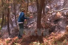 Forest fire warning on high level in many localities