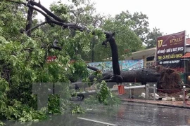 Typhoon causes havoc in northern localities 
