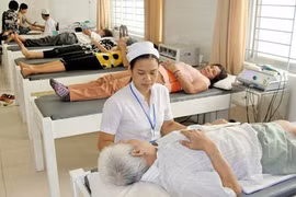 Vietnamese nurses, orderlies in demand in Japan
