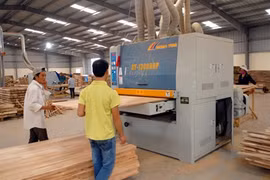 Wood exports set to climb this year