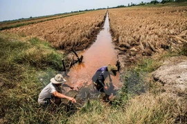 Salinity expected to rise again in southern rivers 