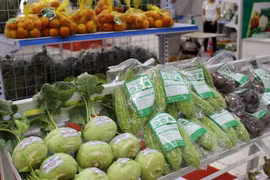 Safe food market to open twice per month