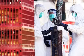 Malaysia, Thailand conduct anti-bird flu drill