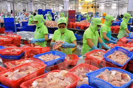 Agro-forestry-fishery exports reach 10 billion USD