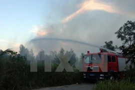 Wildfire at Hoang Lien National Park successfully controlled 