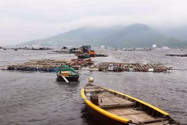 Hotlines set up to help fishermen
