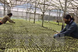 Cooperatives work to step up integration 