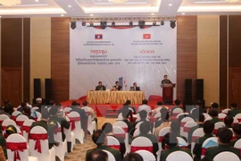 Vietnam-Laos border demarcation reviewed