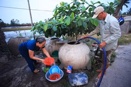 Mekong Delta localities supported in searching fresh water