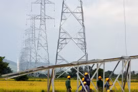 EVN SPC ensures power supply for islanders 