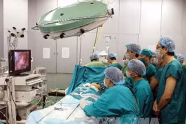 Mekong Delta lacks specialised medical staff