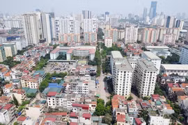 Domestic real estate to see ’hot’ development
