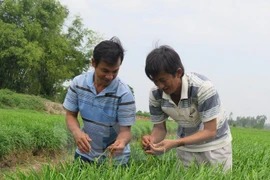 Vietnam to host Asia-Pacific cooperative ministers’ conference