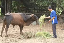 Fund helps farmers improve lives