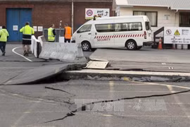 No Vietnamese at quake zone in New Zealand