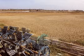 Dams upriver exacerbate drought in Mekong Delta