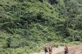 Cross-border human trafficking reduced: report