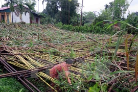 Mountainous provinces suffer from extreme weather events