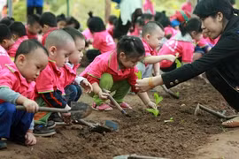 Pre-school education for 2016-2017 planned