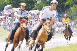 Vietnam fine-tunes rules on horse racing, int’l football betting 