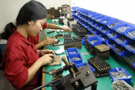 Seminar discusses draft law on supporting SMEs