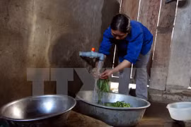 Dak Lak: Over 85.5 percent of rural residents access clean water 