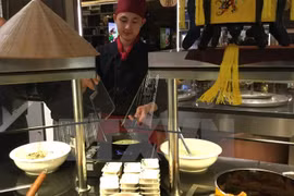 Vietnamese culture shines in Colombia