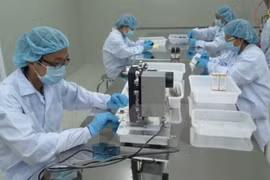 HCM City opens innovation lab to support startup activities 