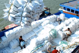 Vietnam rice export to hit over 2.7 million tonnes in H1