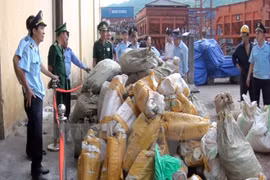 Two tonnes of suspected elephant tusks found at Sai Gon port