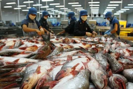 Export of farmed fish fetches nearly 3.1 billion USD