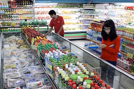 HCM City launches promotion month to boot retail sales