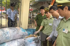 Consumers called to denounce food safety violations