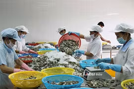 Duties on Vietnamese shrimp sent to US increased