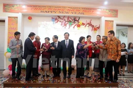 Expatriates celebrate traditional Lunar New Year