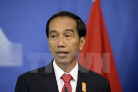 Indonesia boosts ties with RoK, Russia
