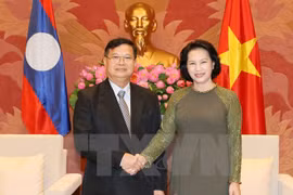 Lao NA Vice Chairman reiterates cooperation with Vietnam 