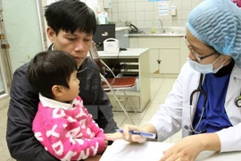 Hanoi: Diseases under control 
