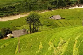 Vietnam’s official online travel mart opens