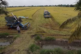 Thailand pushes for new generation of Young Smart Farmers